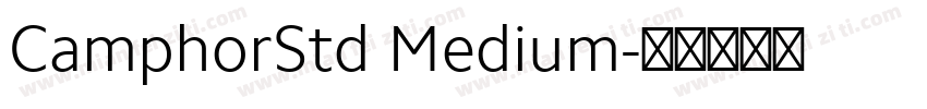 CamphorStd Medium字体转换